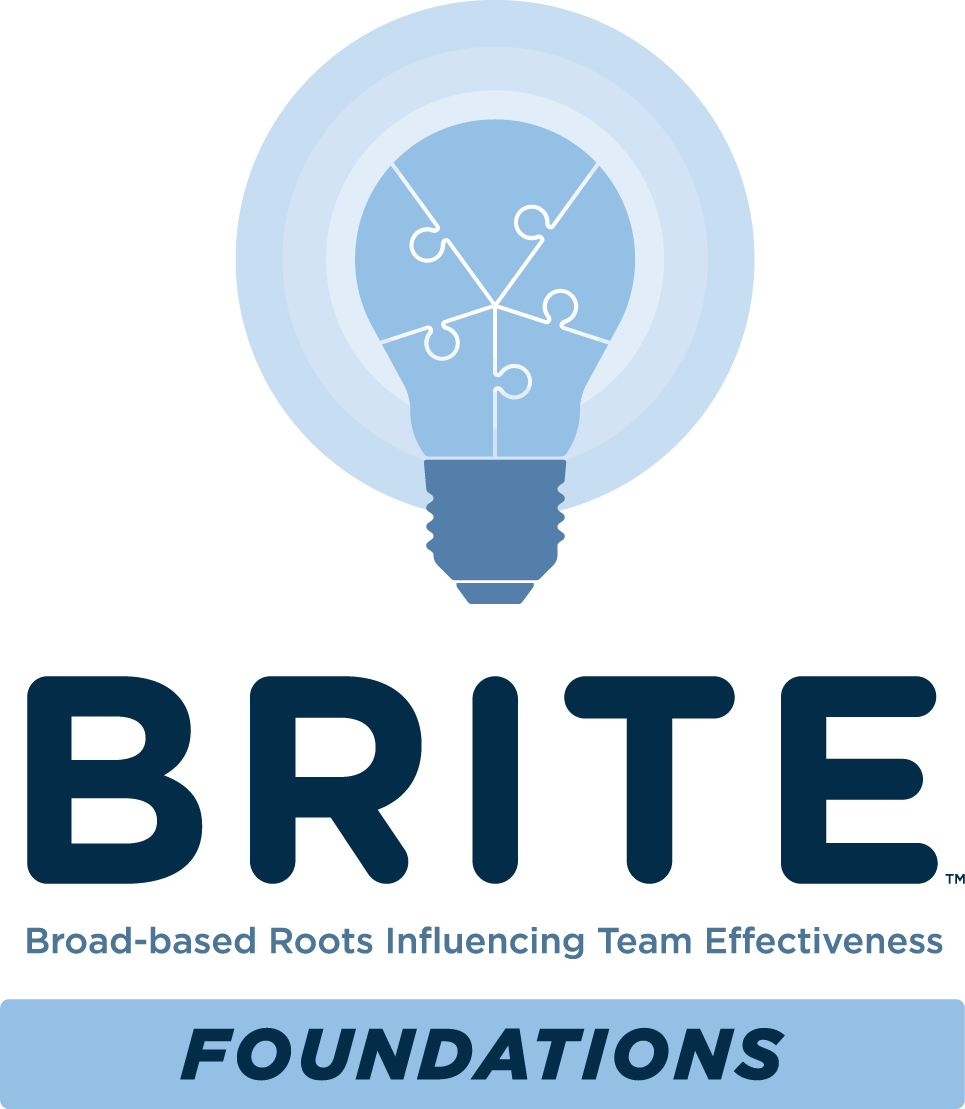 BRITE Foundations Certification | 22 October 2026