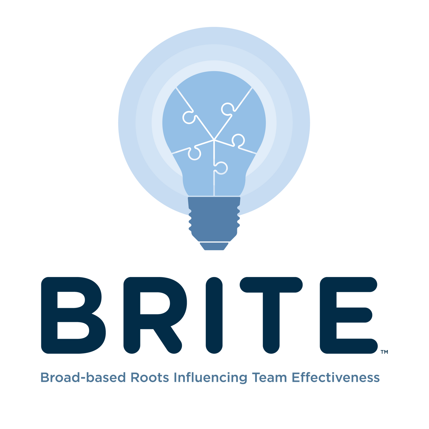 BRITE Team Assessment