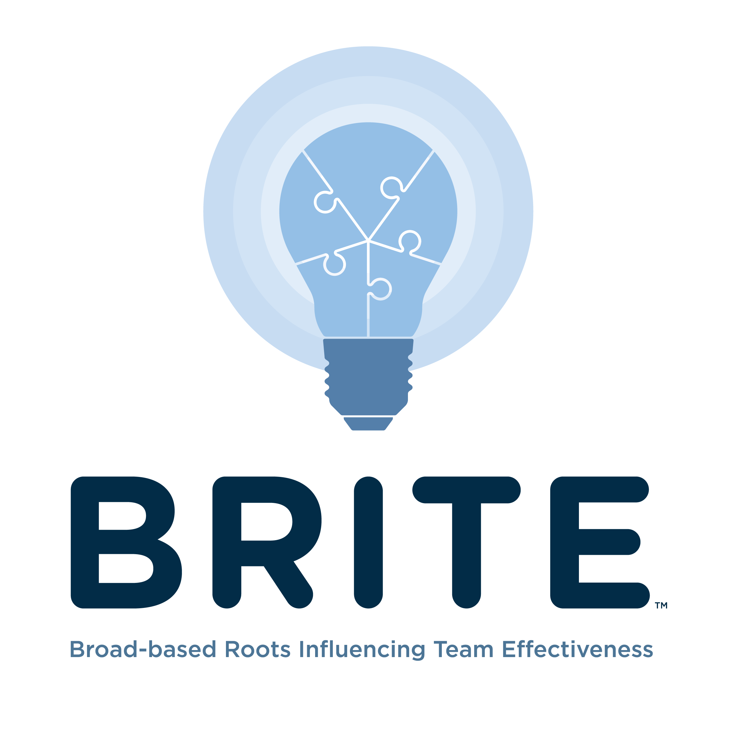 BRITE Team Assessment