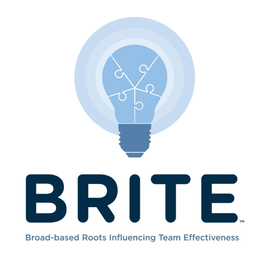 BRITE Workshop - 4-6 February 2025 - SYDNEY, Australia